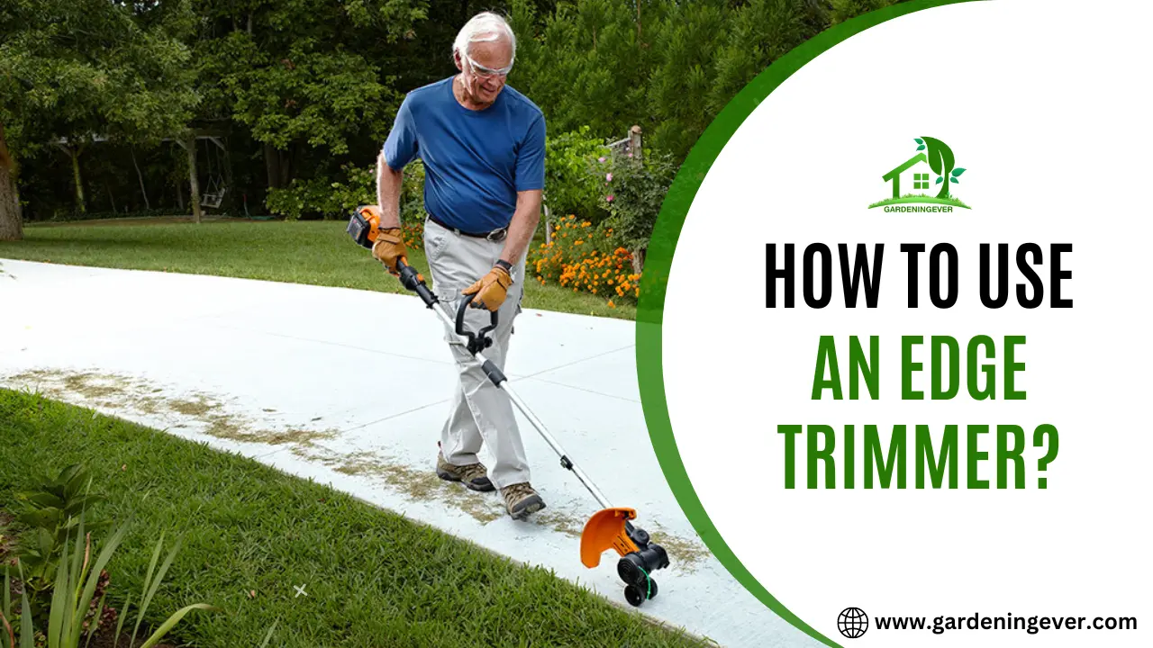 How To Use An Edge Trimmer