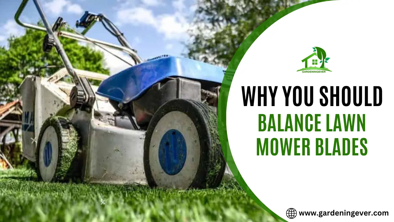 Why You Should Balance Lawn Mower Blades