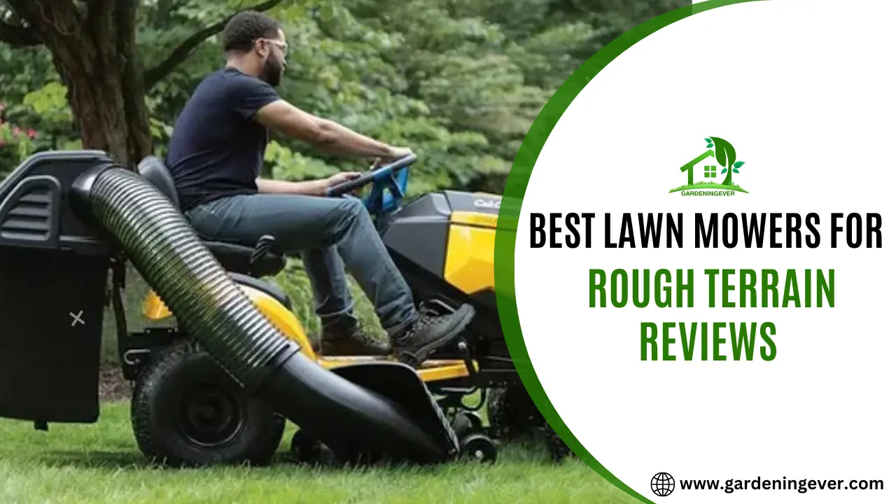 Best lawn mowers for rough terrain