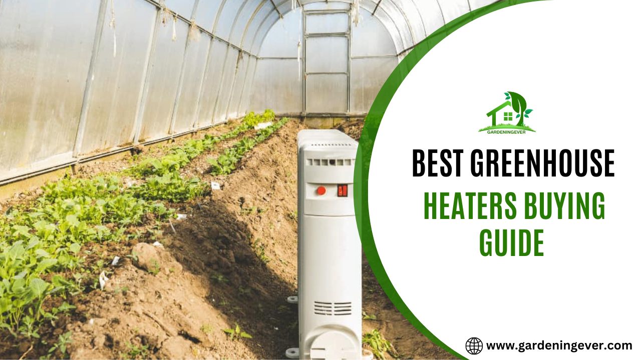 Best Greenhouse Heaters