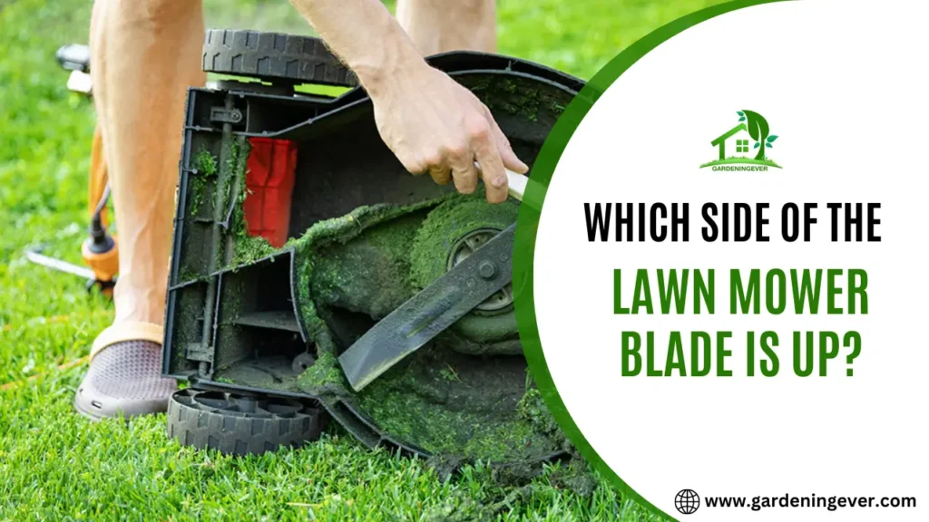 Which Side Of The Lawn Mower Blade Is Up?