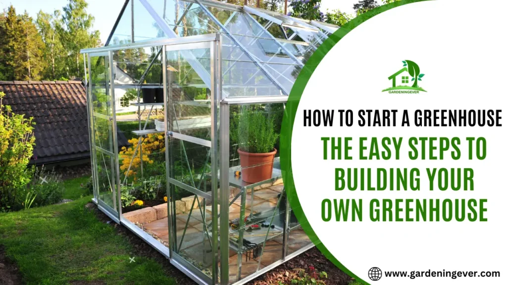 How To Start A Greenhouse?- The Easy Steps To Building Your Own Greenhouse