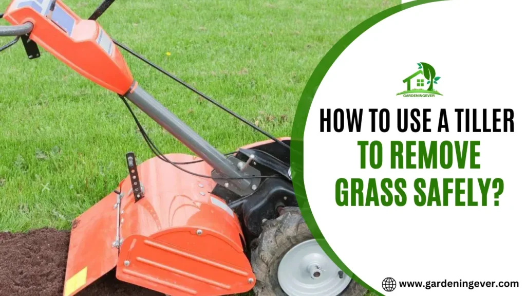 How To Use A Tiller To Remove Grass Safely.