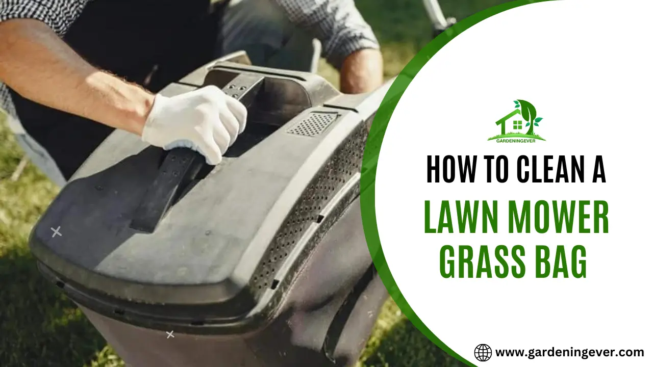 How to Clean a Lawn Mower Grass Bag