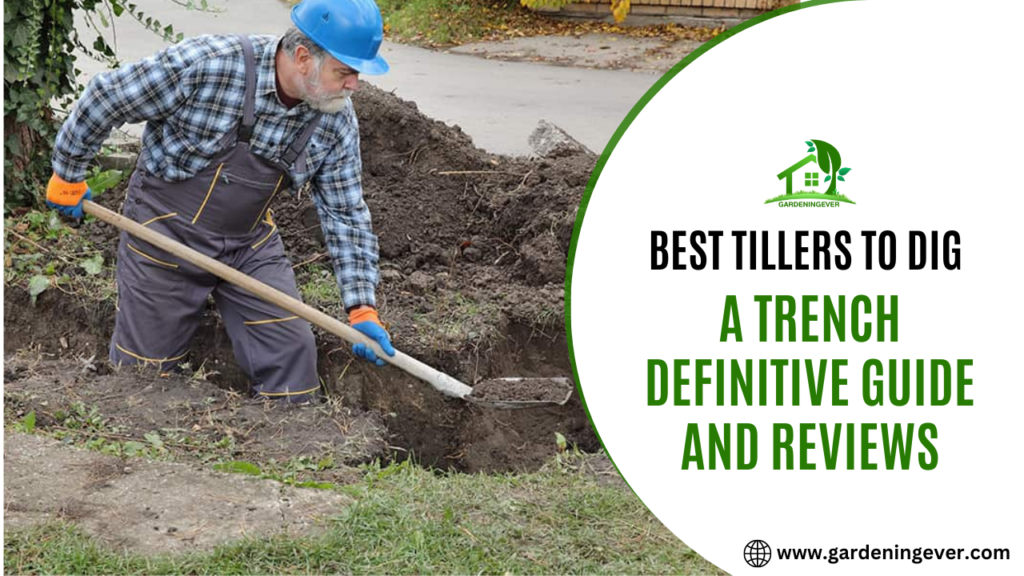 Best Tools To Dig A Trench Definitive Guide and Reviews In 2023
