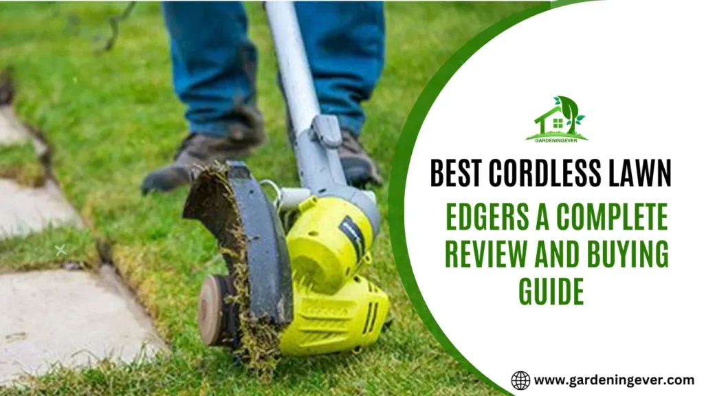 Best Cordless Lawn Edger of 2023 : Review & Buying Guide