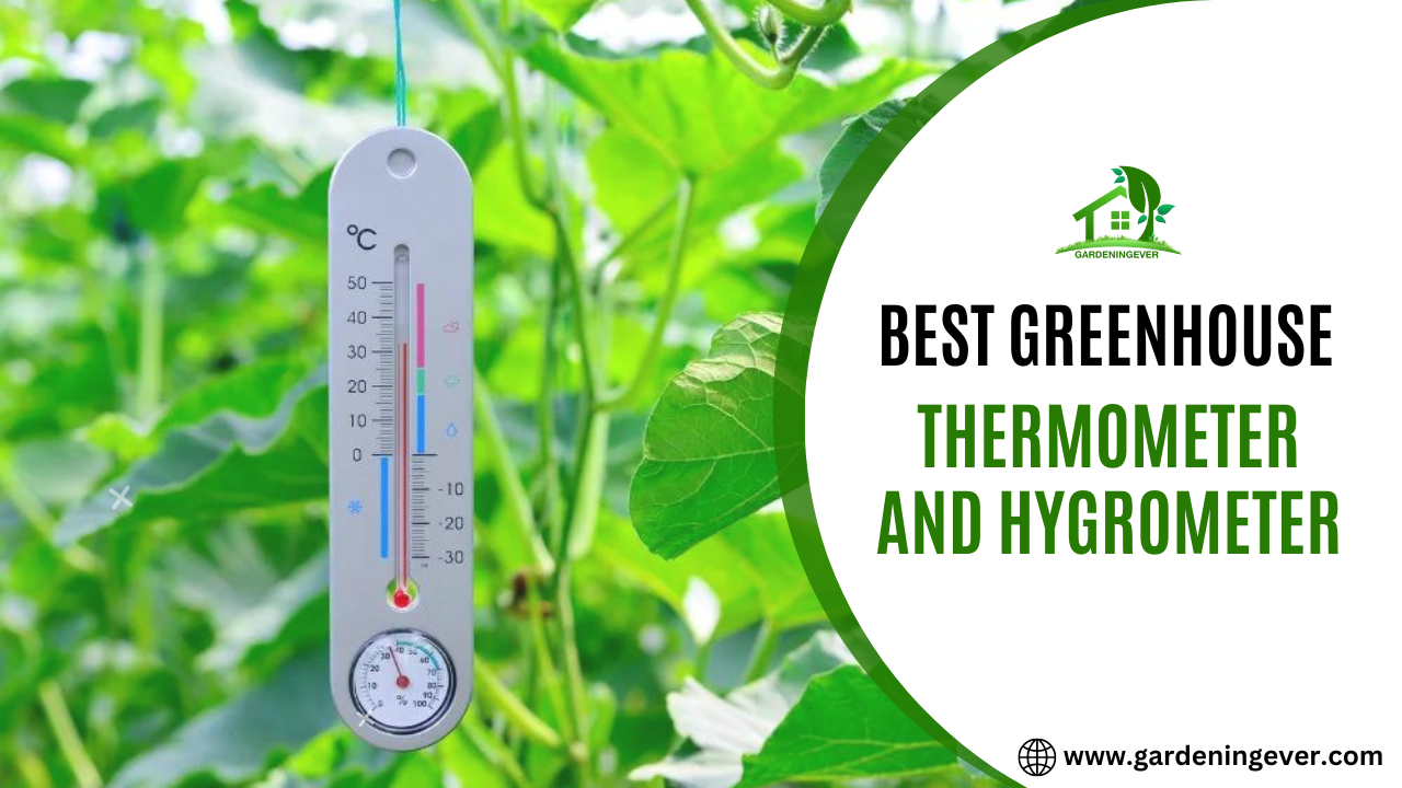 Best Greenhouse Thermometer