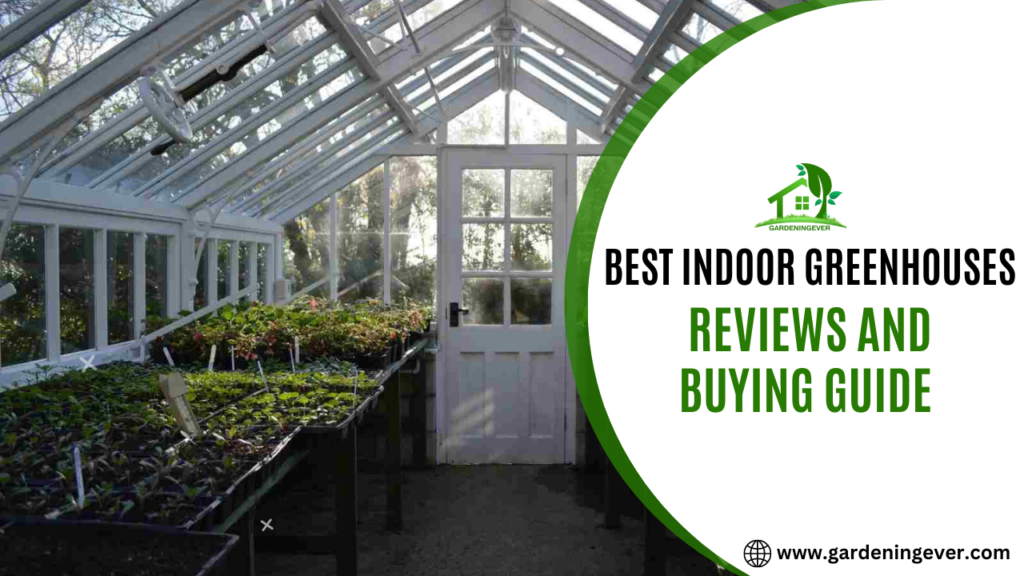 Best Indoor Greenhouses 2023– Reviews & Buying Guide.