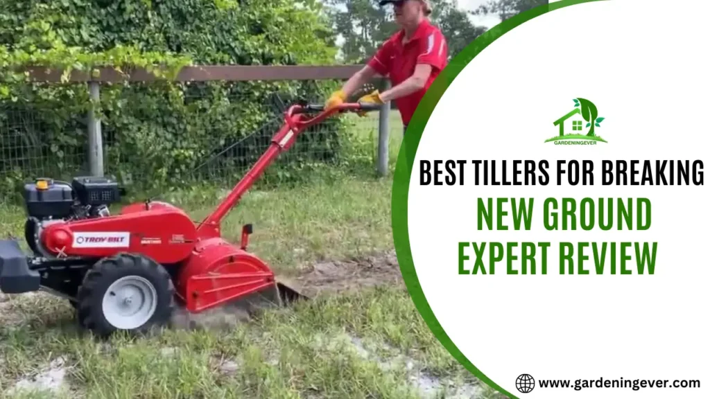 Best Rear Tine Tillers: All You Need To Know!