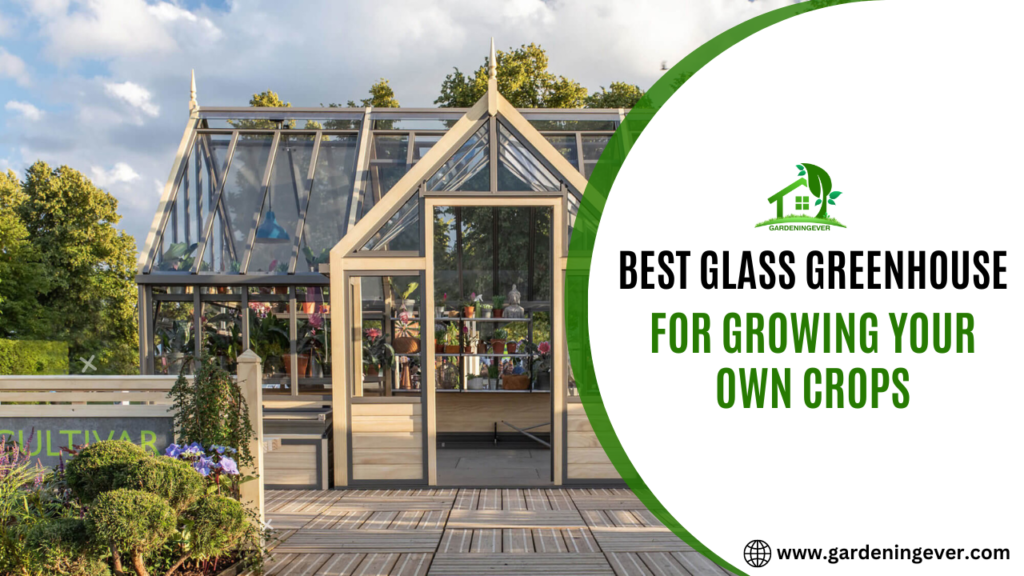 The Best Glass Greenhouse For Growing Your Own Crops