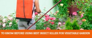 To Know Before Using Best Insect Killer For Vegetable Garden