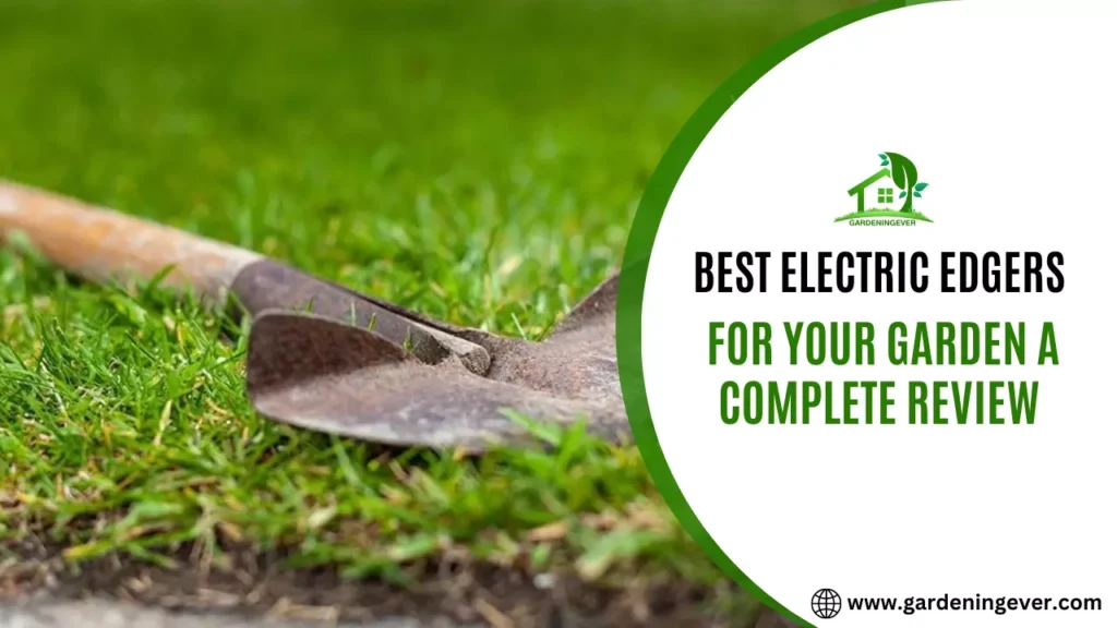 Best Manual Lawn Edger For 2023 | Buyers Guide