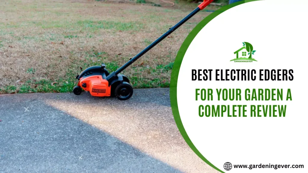 Best Lawn Edger Under $100 In 2023 – Review & Buying Guide