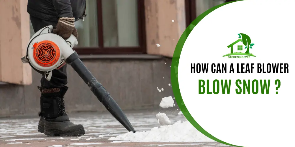 How Can a Leaf Blower Blow Snow