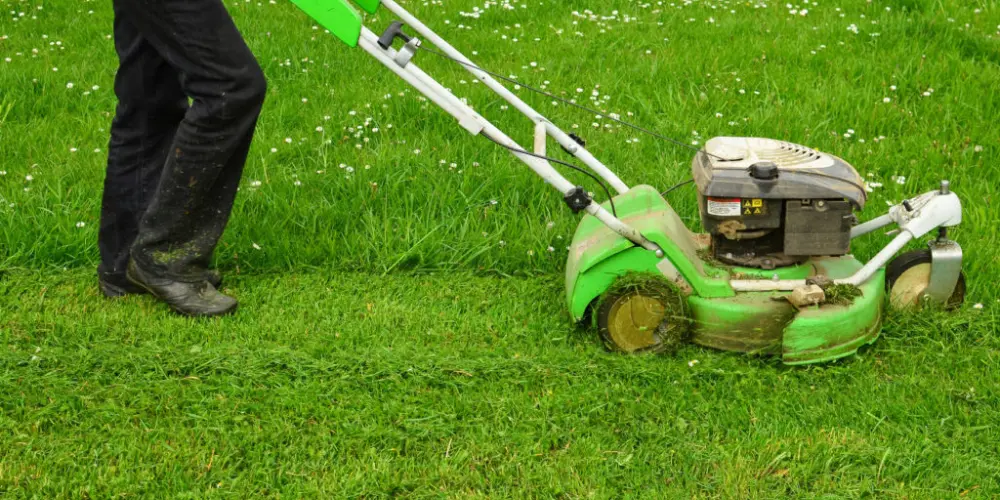 How Can A Lawn Mower Cut Wet Grass
