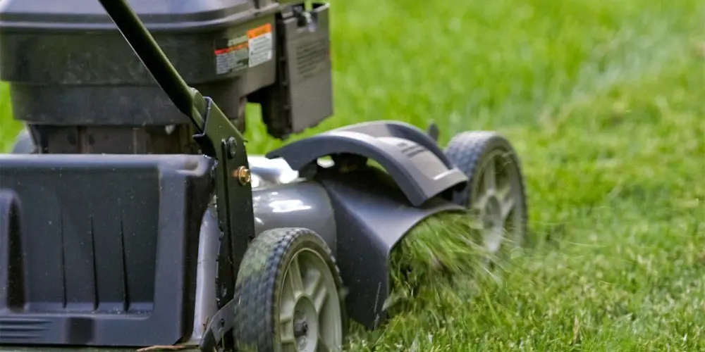 Can a Lawn Mower Cut Wet grass