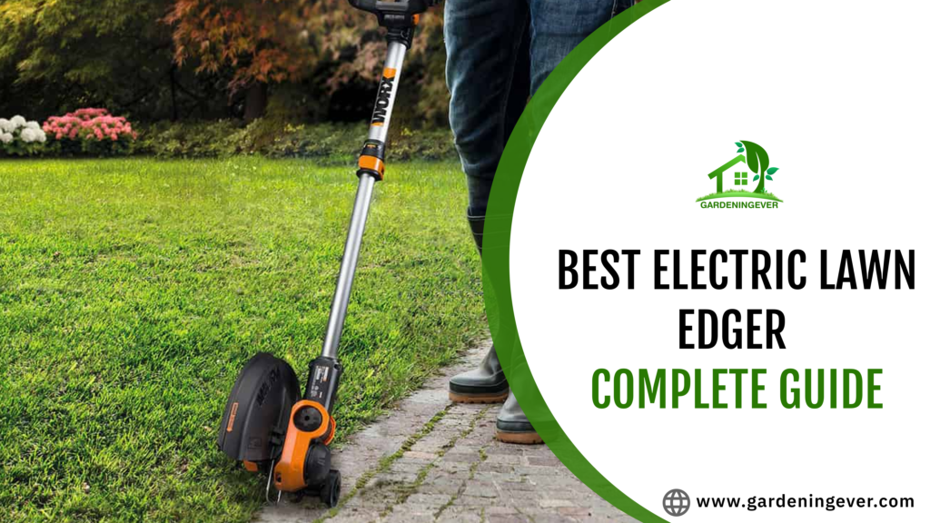 Best Electric Lawn Edger 2023 : Complete Guide
